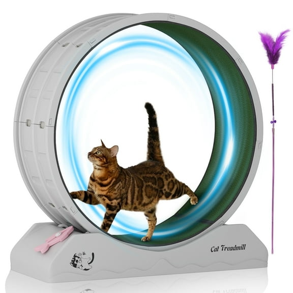 POLAHAKU Cat Exercise Wheel, 31.5'' Cat Treadmill with Carpeted Runway and Safety Lock,Gray