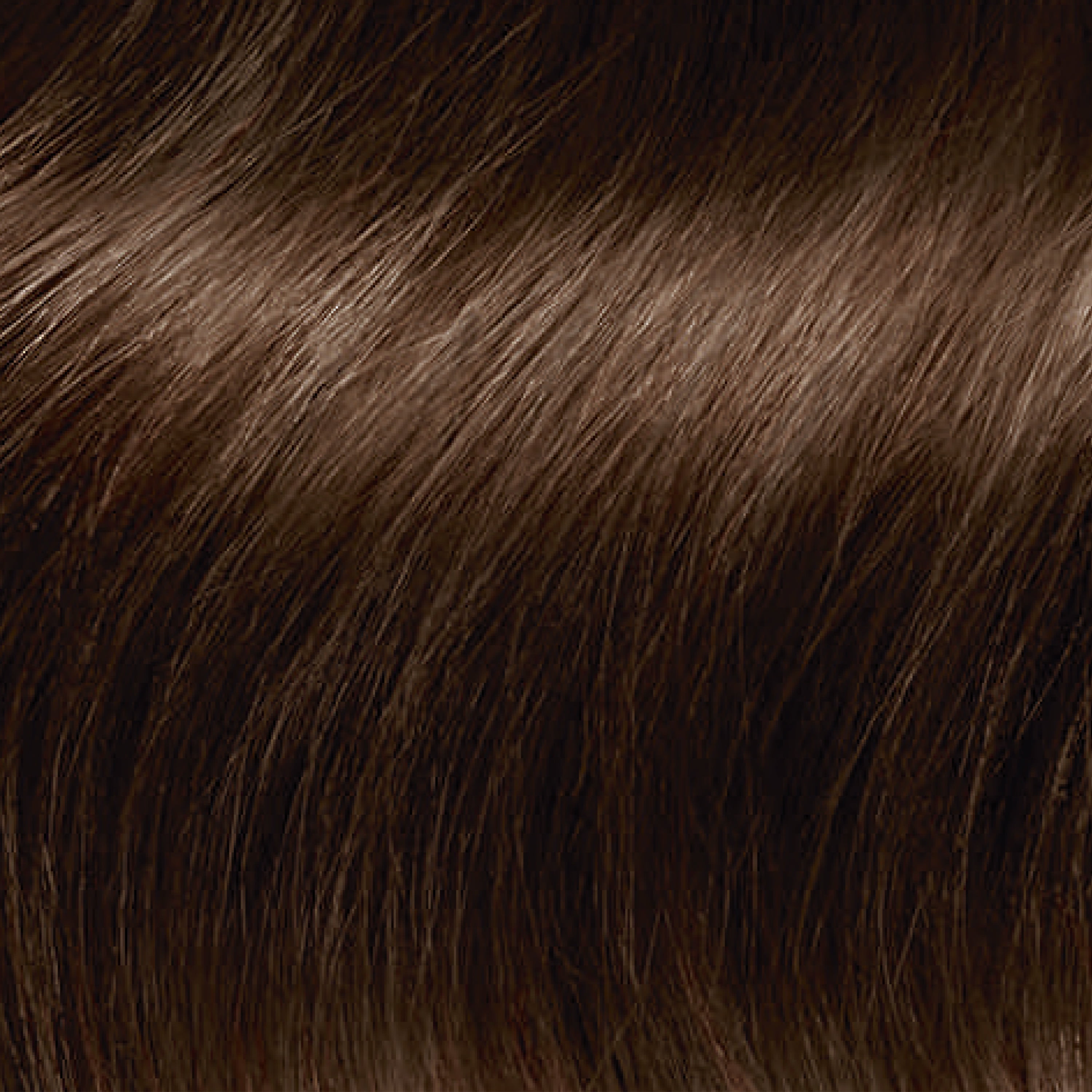 Clairol ColorStrong Permanent Hair Dye, 4.63 Sunset Mauve - Fiji