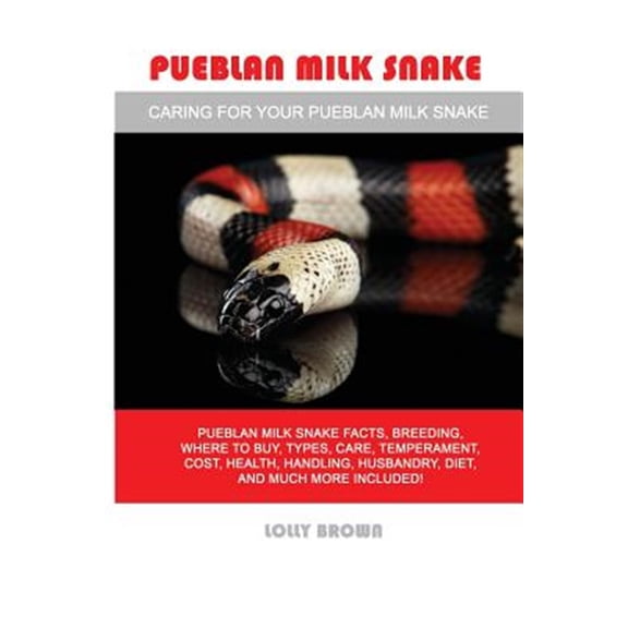 Pre-Owned Pueblan Milk Snake: Pueblan Milk Snake Facts, Breeding, Where to Buy, Types, Care, Temperament, Cost, Health, Handling, Husbandry, Diet, a