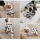 thumbnail image 5 of Ropa para perros y gatos CHAO traje abrigo suéter aguacate pato vaca talla S, 5 of 5
