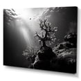 thumbnail image 2 of Designart "Monochromatic Artistry In Oceanic Coral Ballet" Coastal Coral Under Water Canvas Art Print, 2 of 7