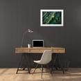 thumbnail image 3 of Susan Vizvary Photography 24x17 White Modern Wood Framed Museum Art Print Titled - Yellow Flower On A Cactus, 3 of 4