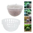 thumbnail image 3 of Soporte De Bola De Planta De Plástico, Escondite De Cría, Bola Transparente De Decoración De Acuario Para Pecera, 3 of 7