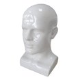 thumbnail image 5 of Men Mannequin Head PVC Display Stand Durable Styling for Game Console, Hats, Jewellery 13.4inch Tall Gloss White, 5 of 8