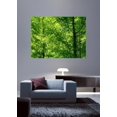 thumbnail image 2 of Kraft "Sunlit Forest" Glossy Poster, 2 of 2