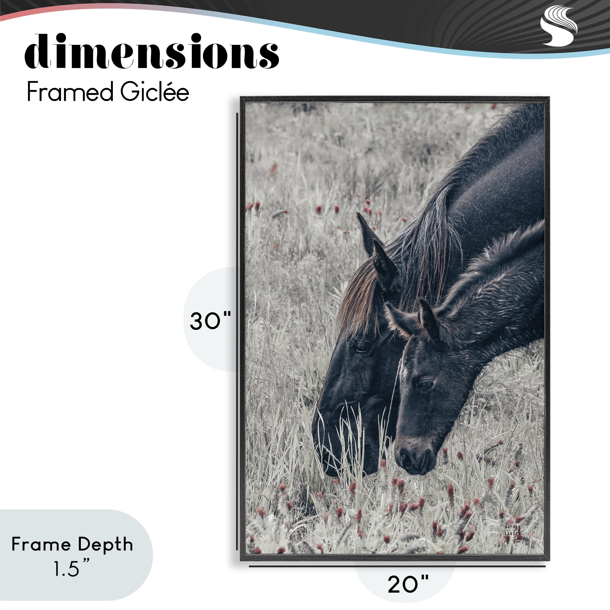 Stupell Industries New Graze Horses in Meadow Black Framed Giclee Art, design by Nathan Larson