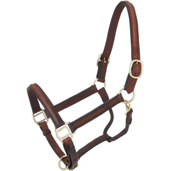 Royal King Raised Leather Halter, Full, Havana (Brown)