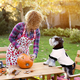 thumbnail image 5 of Ropa divertida para perros, disfraz de Halloween para perros, sudaderas finas con capucha para perros, camisetas de algodón para cachorros, ropa para chihuahua y bulldog francés, suministros para perr, 5 of 5