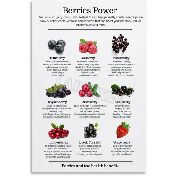 Berries Types And Benefits Guide Poster Health Fruit Kitchen Wall Art Painting for Living Room Bedroom Decor