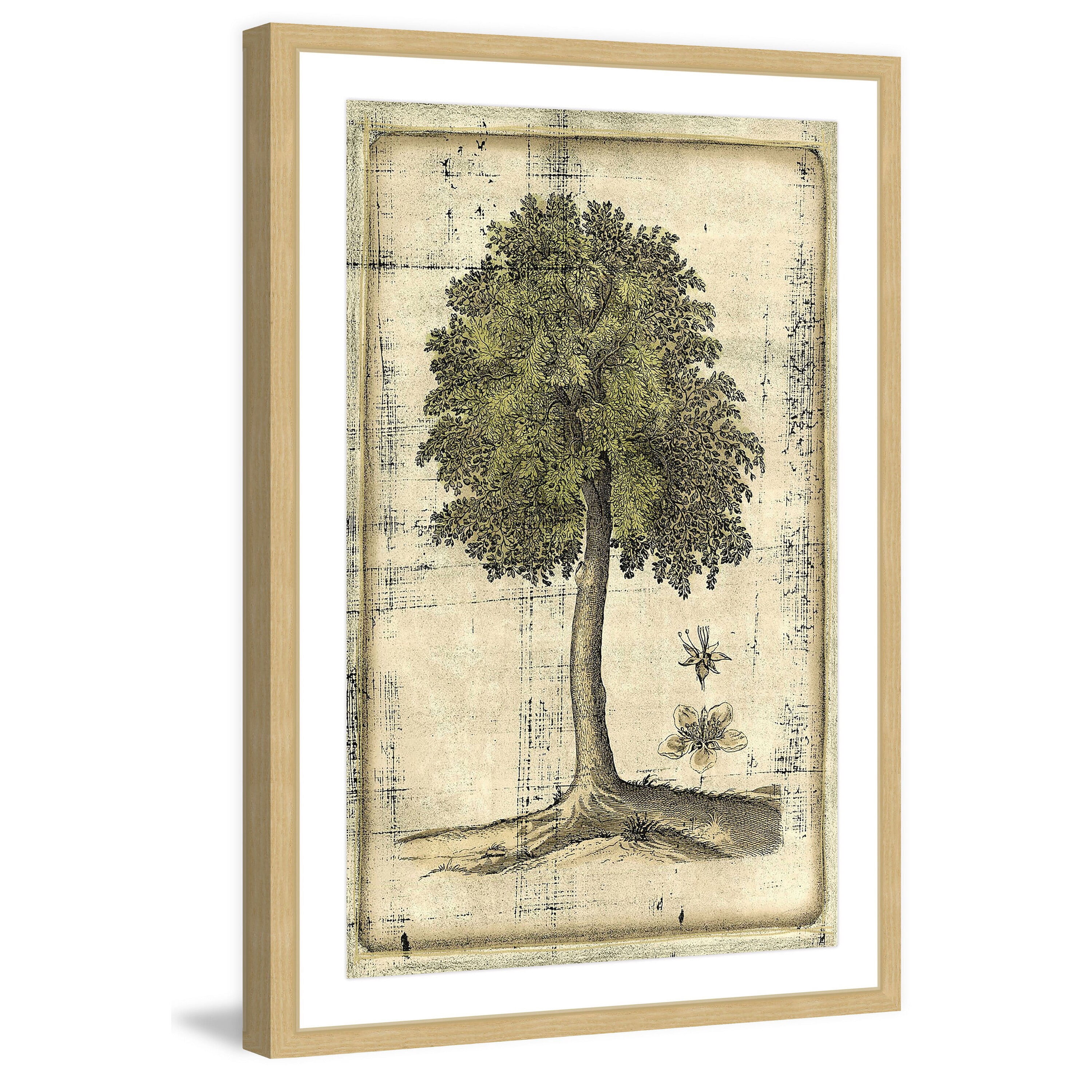 Marmont Hill "Fruitful Realm II" Framed Painting Print