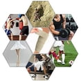 thumbnail image 5 of PinesC Elastic Calf Compression Bandage Sleeve Wrap for Calf Pain Relief Lower Leg Compression Support Shin Splint Guard Adjustable Plus Size Black Large (Beige) Beige Large, 5 of 5