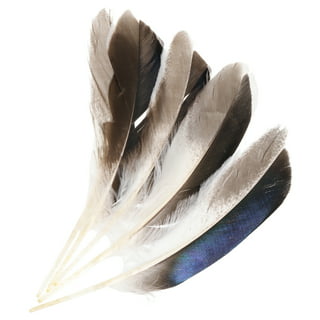 Feathers Wholesale Bulk Lot 120 Pieces