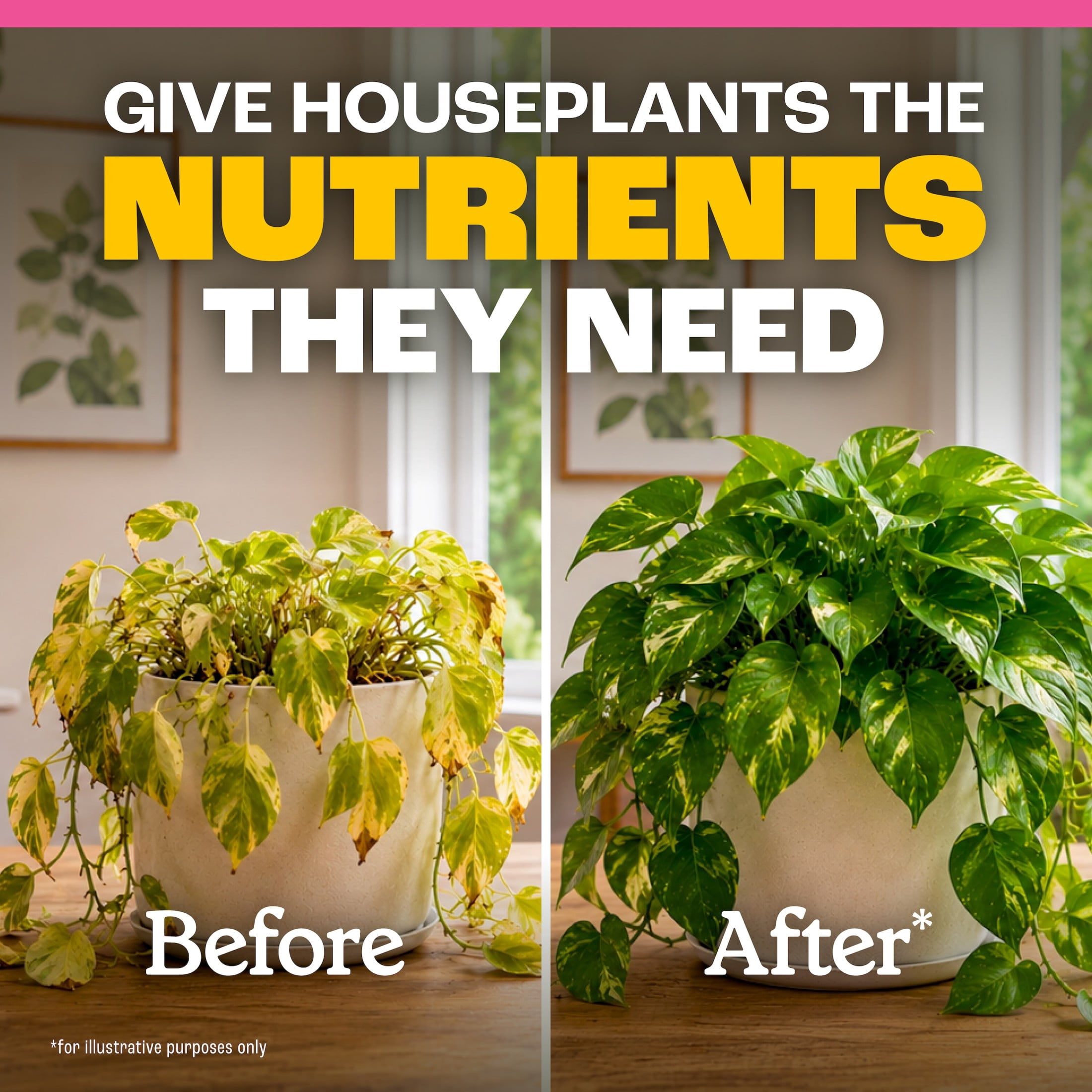 Pennington Easy-Dose Indoor Plant Food 2-3-2 16oz 16oz