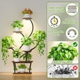 thumbnail image 3 of Soporte para plantas EVAWOO para interiores con luces de cultivo, 7 niveles y 47 cm de altura, 3 of 8