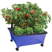 Emsco Group City Picker Raised Bed Grow Box 鈥?Self Watering and Improved Aeration 鈥?Mobile Unit with Casters - Cobalt Blue, CONVENIENT MOBILE RAISED BED GROW.., By Visit the Emsco Group Store
