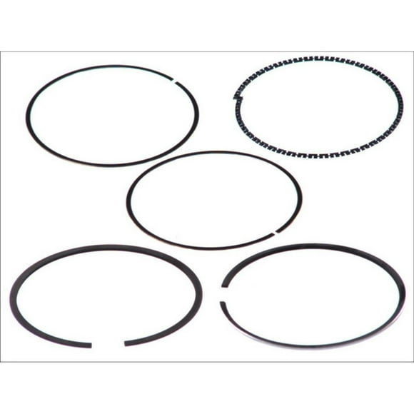 Goetze 0870420000 Wheel Seal