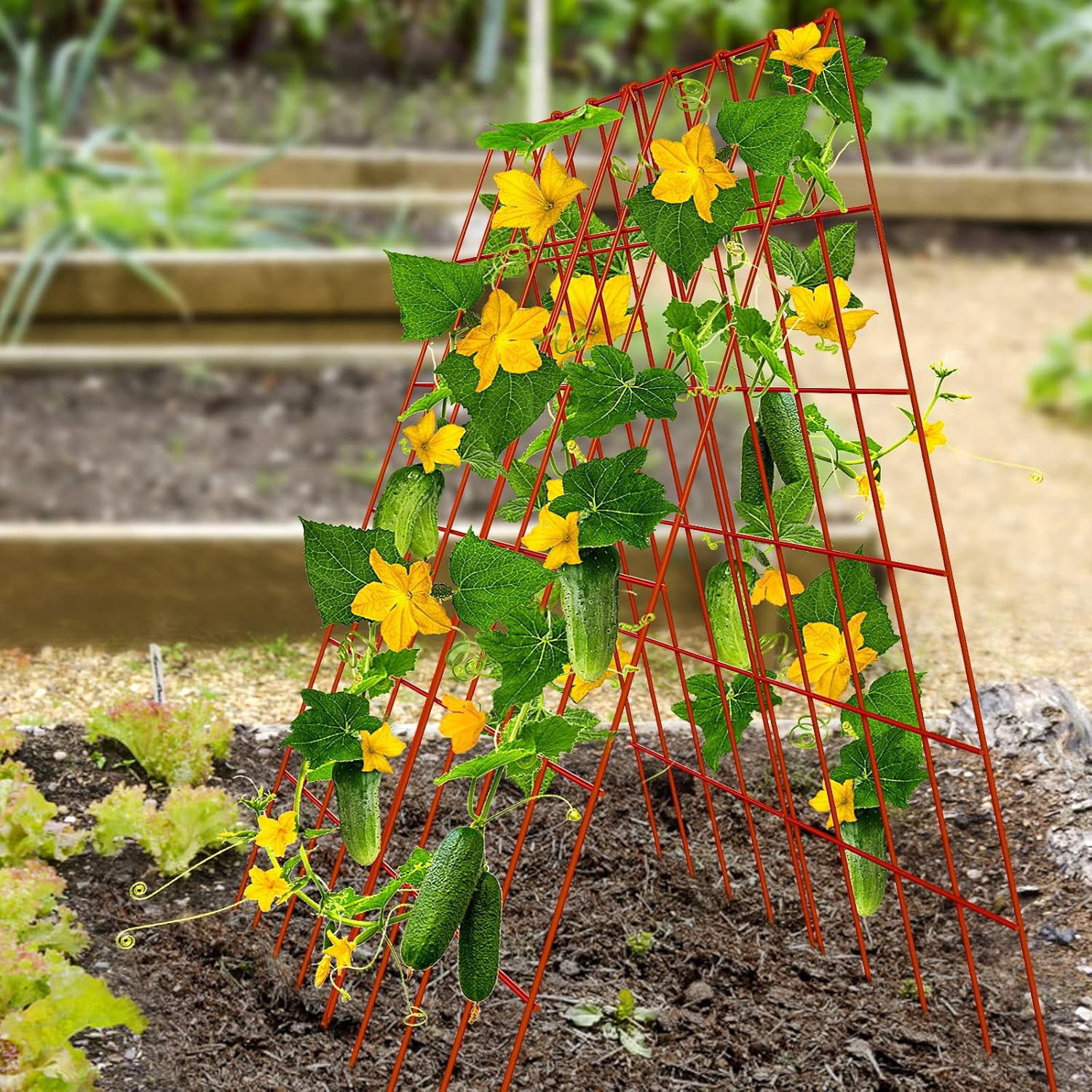 Cucumber Trellis, 2 Pack Foldable A Frame Trellis for Raised Bed Climbing Plants, Vegetables, Includes Plant Support Clips, Twist Ties, Plastic Ties- Made from PVC-Coated Steel
