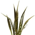 thumbnail image 2 of Vickerman 36" Basil Bahia Spears Seeded, 9 stems, Dried, 2 of 4