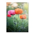 thumbnail image 2 of Trademark Fine Art "Love Me Again" Canvas Art by Philippe Sainte-Laudy, 2 of 4
