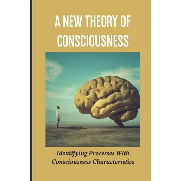 A New Theory Of Consciousness (Paperback)