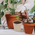 thumbnail image 1 of LOLIPPYY 100pcs Grow Container Plant Markers Coffee Natural for Vegetables, 1 of 6
