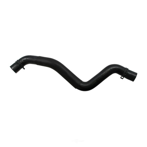 Rein Molded Radiator Hose