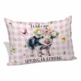 thumbnail image 2 of Spring Pig Pillow Covers 16"x24", Butterfly Botanical Floral Pink Plaid Soft Brushed Microfiber Breathable Throw Pillow Covers, Pillowcase with Zipper for Couch Sofa Bedroom Living Room, 2 of 9