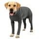 thumbnail image 1 of Camisas calmantes alternativas para perros de cobertura completa, cuello redondo, ansiedad canina femenina y masculina para rehabilitación quirúrgica de mascotas - gris PenghuiLiu 9024719111728, 1 of 5