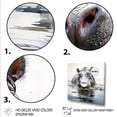 thumbnail image 3 of Designart "Majestic Hippo Elegance in Grey III" Animals Framed Wall Art Decor - Modern Grey Hippopotamus Living Room Framed Canvas Art, 3 of 6