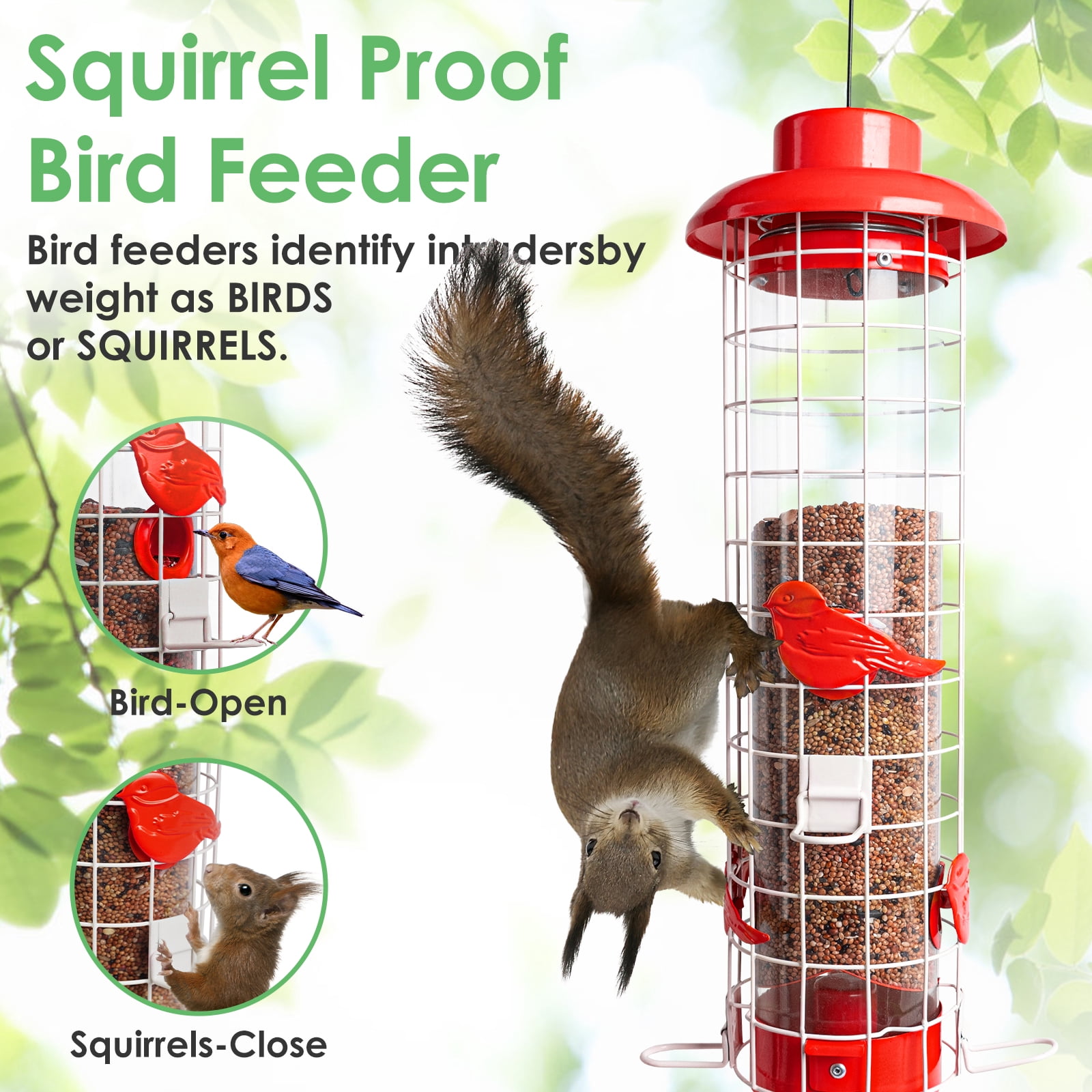Birdkiss Squirrel-Proof Metal Bird Feeder - 4 Weight-Activated Perches, 3LBs Capacity, Outdoor Hanging Decor for Garden & Finch