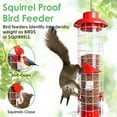 thumbnail image 6 of Birdkiss Squirrel-Proof Metal Bird Feeder - 4 Weight-Activated Perches, 3LBs Capacity, Outdoor Hanging Decor for Garden & Finch, 6 of 7