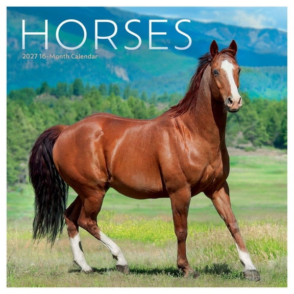 Carousel Calendars, Horses 2027 Mini Wall Calendar