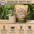 thumbnail image 3 of Sol Soils Succulent Potting Soil - Gritty Fast-Draining Cactus & Succulent Mix - Pack of 18, 3 of 8