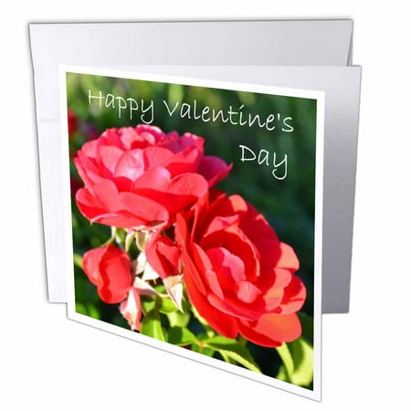 3dRose, Valentines Day Red Roses, 6 Greeting Cards with envelopes