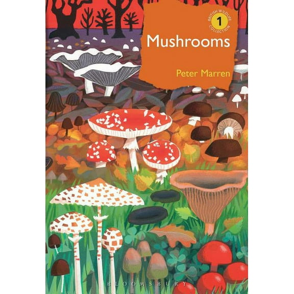 British Wildlife Collection: Mushrooms : The natural and human world of British fungi (Hardcover)