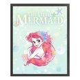 thumbnail image 2 of Hilo de bordar Full Eco-cotton 11CT Impreso Princess Cross Stitch (ACC-383) Hugtrwg Para estrenar, 2 of 9