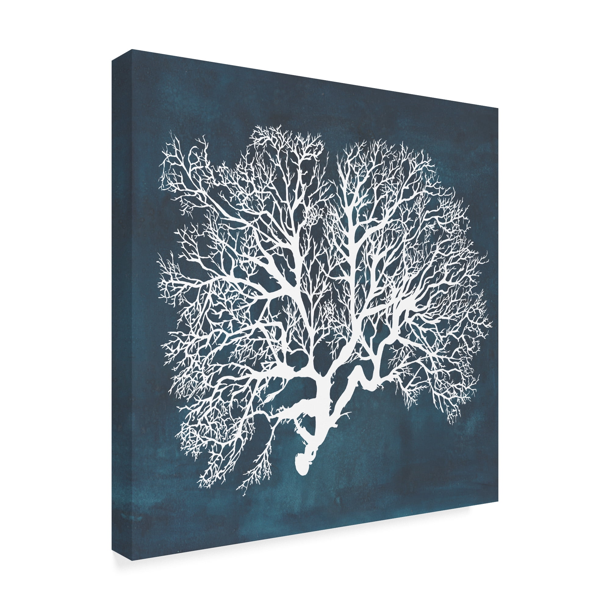 Trademark Fine Art 'Inverse Sea Fan III' Canvas Art by Grace Popp