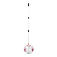 thumbnail image 1 of fastboy Rassembleur de Noix Collecteur de Balles de Golf Ramasseur de Noix de Jardin Rouleau Moissonneuse Petites Balles, 1 of 4