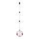 thumbnail image 1 of Greeniant Nut Gatherer Golf Ball Collector Garden Fruit Nut Rolling Picker Harvester Golf Bola pequeña, 1 of 1