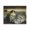 Restful Woman Classic Painting, variant on Stupell Industries Transitional Historical Dog & Bowl Black Framed Giclee Art, 14 x 11, by Lil' Rue