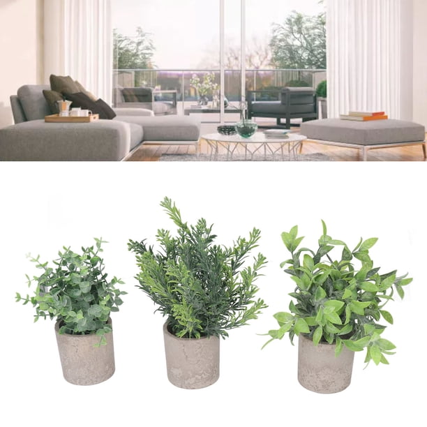 Plantas En Macetas Artificiales, 3 Paquetes Sin Riego Plantas De Eucalipto En Macetas En Forma De Riego Fáciles De Mantener Ecológicos Para El Escritorio