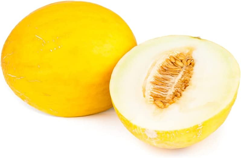Canary Yellow Melon Seeds for Planting 30 Seeds Made in USA, Ships
