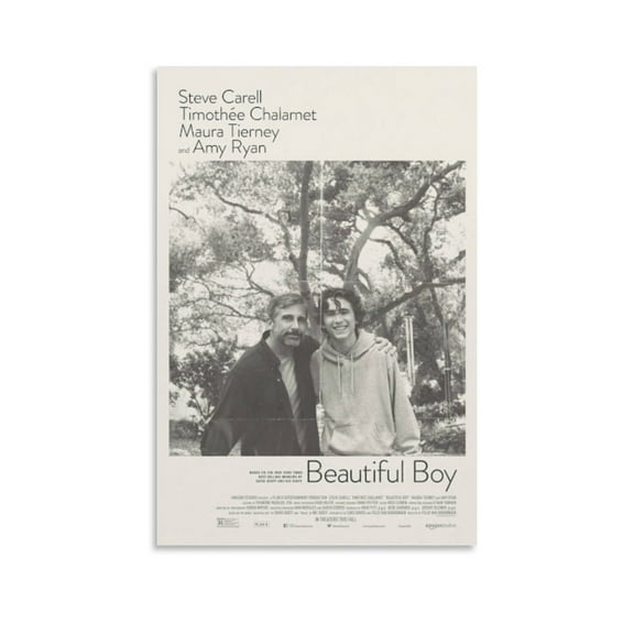 Beautiful Boy Poster Movie Print Photo Art Painting Canvas Poster Home Decorative Bedroom Modern Decor Posters Gifts 12x18inch(30x45cm)