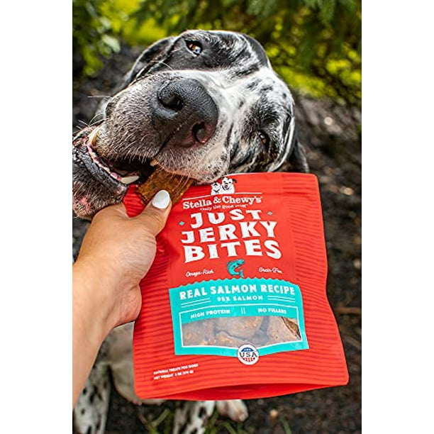 Stella Chewy s Just Jerky Bites Real Chicken Recipe Dog
