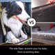 thumbnail image 5 of Fundas para Asientos de Camioneta iBuddy Piso para Perros Tamaño Completo, 5 of 7