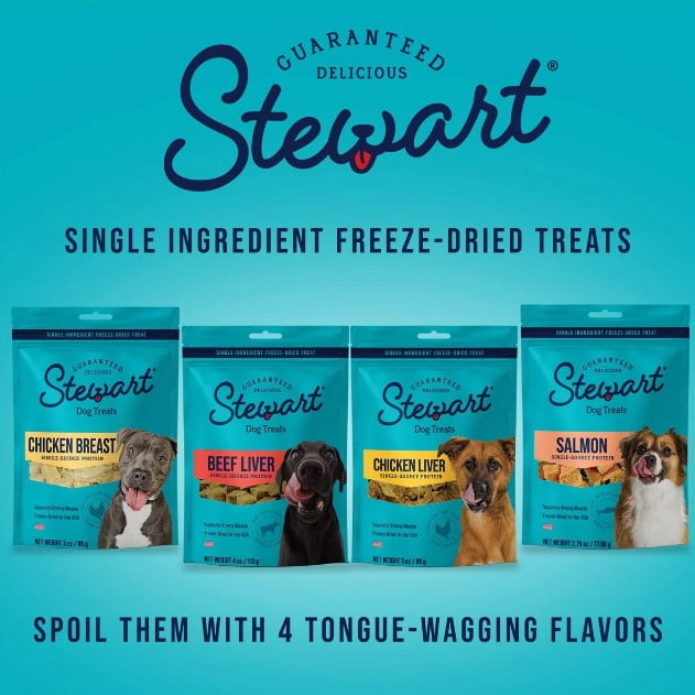 Stewart Freeze Dried Beef Liver Treats 400585