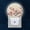 A3721, variant on Night Light Plug into Wall,Dusk to Dawn Sensor Auto-On/Off for Bathroom, Hallway,Kids Room-Blooming Plum Blossom Branch With Red And White Flowers
