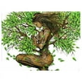 thumbnail image 1 of DIY Diamond Painting Mother Tree Paste Diamond Embroidery Round Resin Diamond Cross Home Wall Decor 30X40cm, 1 of 6