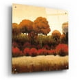 thumbnail image 2 of Epic Art 'Autumn Forest II' by James Wiens, Acrylic Glass Wall Art, 24"x24", 2 of 8