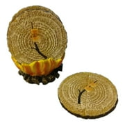 CAMPFIRE & TOASTED MARSHMALLOWS Coasters & Holder Set, by Wilcor